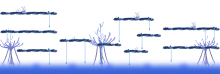 Minimap unavailable